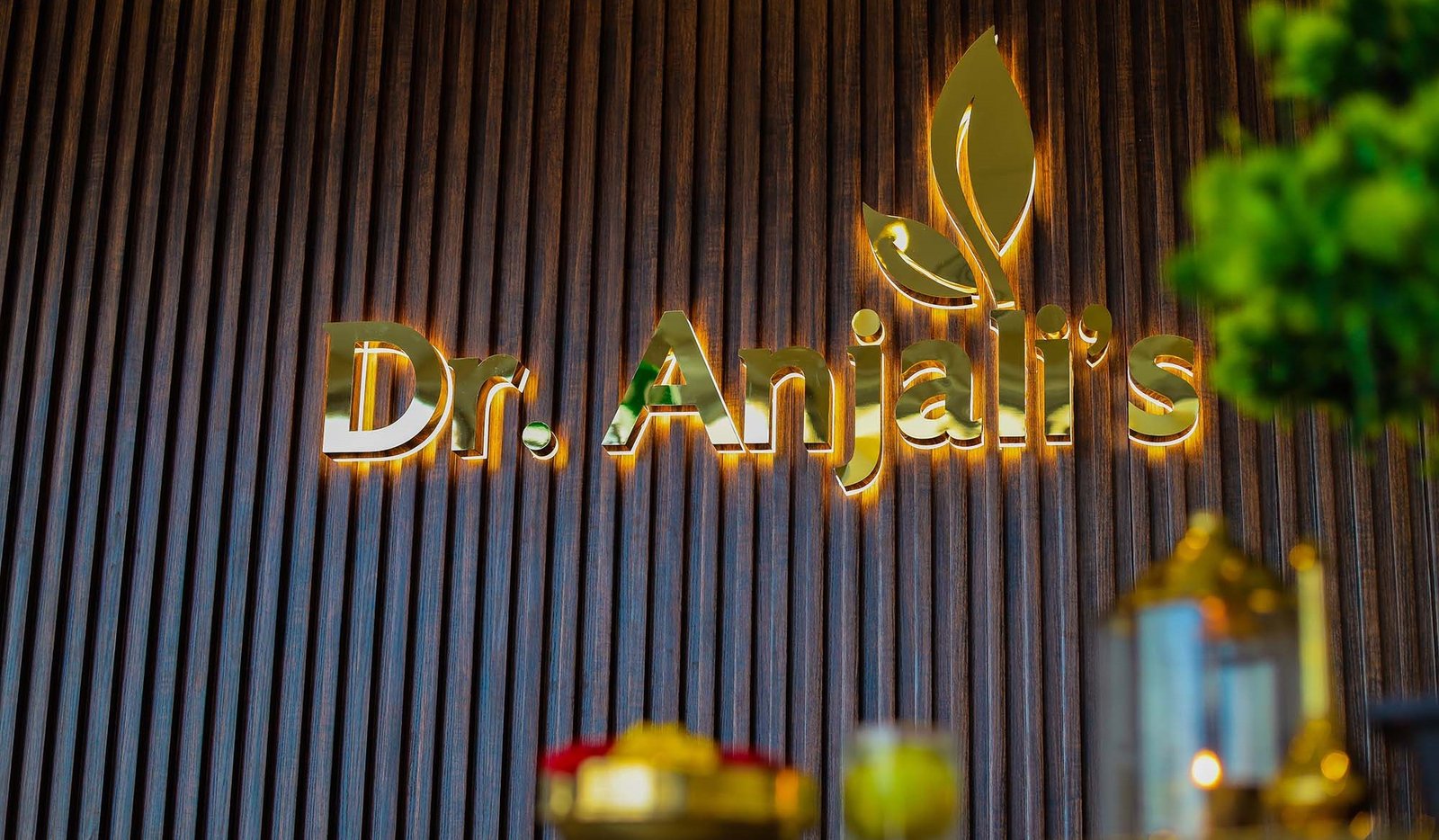 Dr. Anjali's Ayurvedic Treatment Packages Dubai