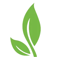 Dr. Anjalis Ayurvedic Center Logo e1750772190346